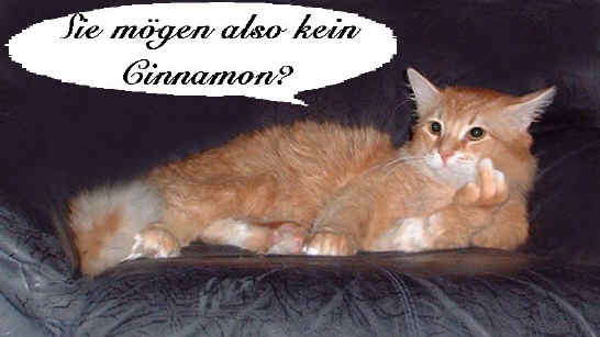 Juri's Chakotay, sibirische Katze, Siberian